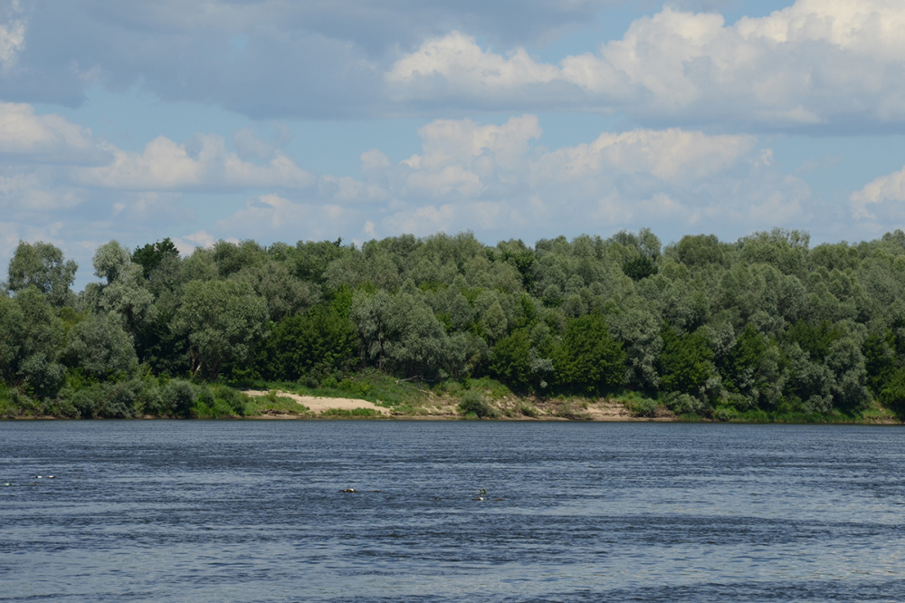 6 человек утонули за неделю в Нижегородской области