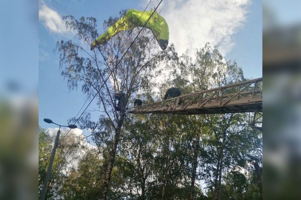 Нижегородские парапланеристы застряли на дереве в Приокском районе