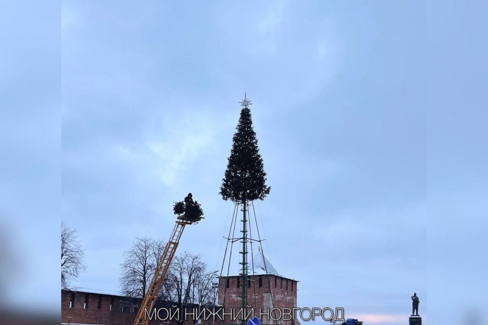 Новогоднюю елку монтируют на площади Минина в Нижнем Новгороде