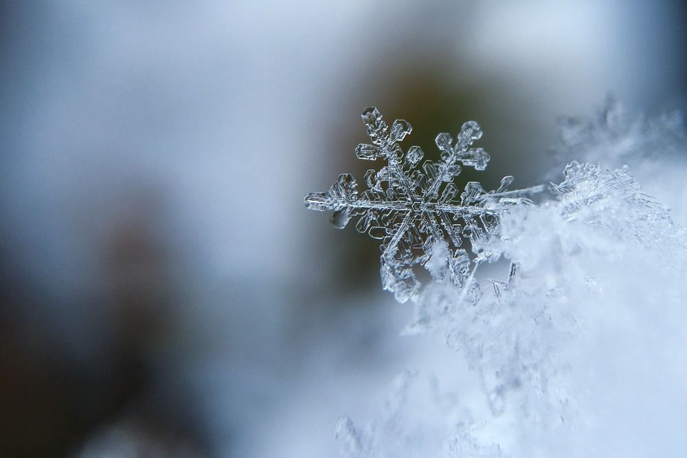 Фото Потепление до -1°C и снегопад обещают синоптики нижегородцам 30 ноября - Новости Живем в Нижнем