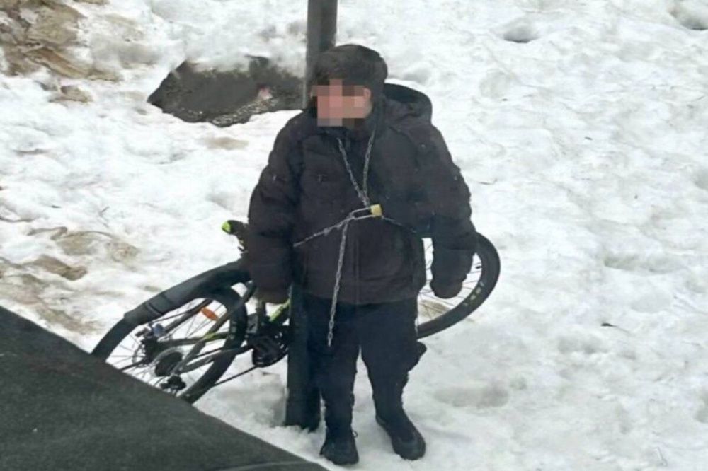 Ученик нижегородской школы №45 приковал себя цепью к столбу