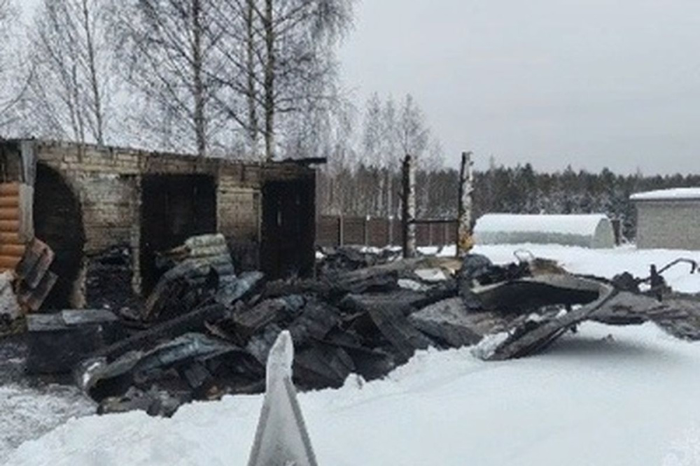 Два человека пострадали на пожаре в деревне Нечаево Борского района 27 января