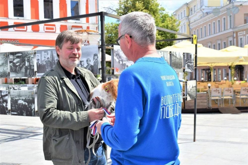 Волонтеры раздадут нижегородцам 50 тысяч лент в цветах российского флага