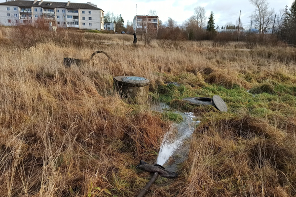 Разлив канализационных стоков снова произошел в Городецком районе