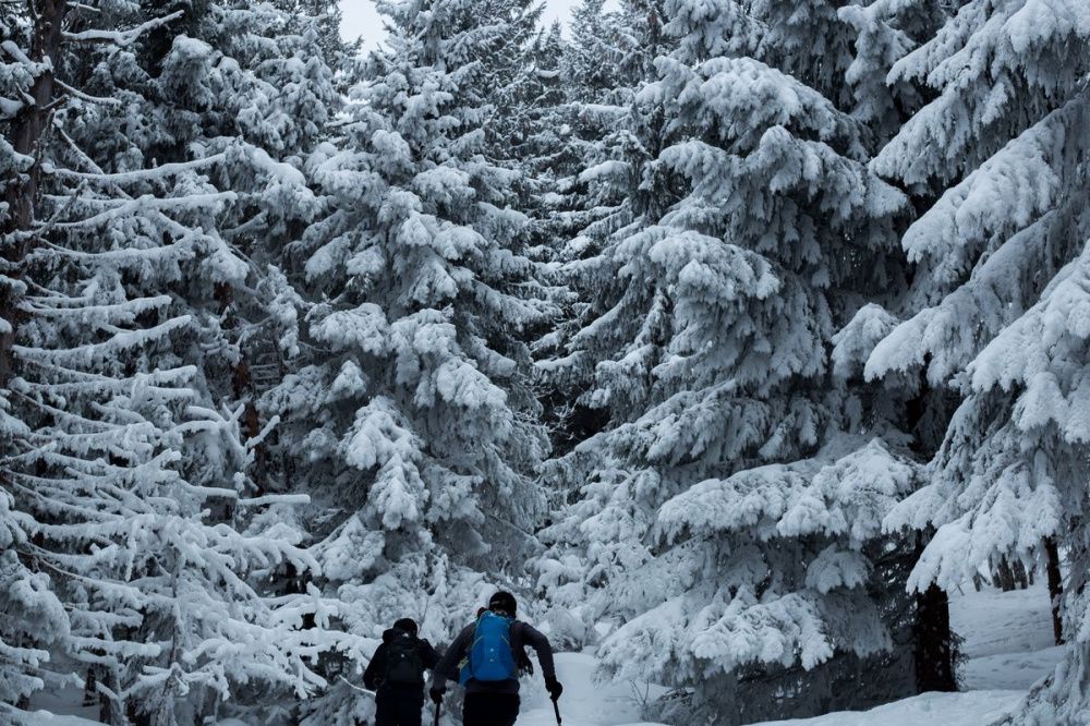 Три лыжные трассы откроются в Нижнем Новгороде зимой