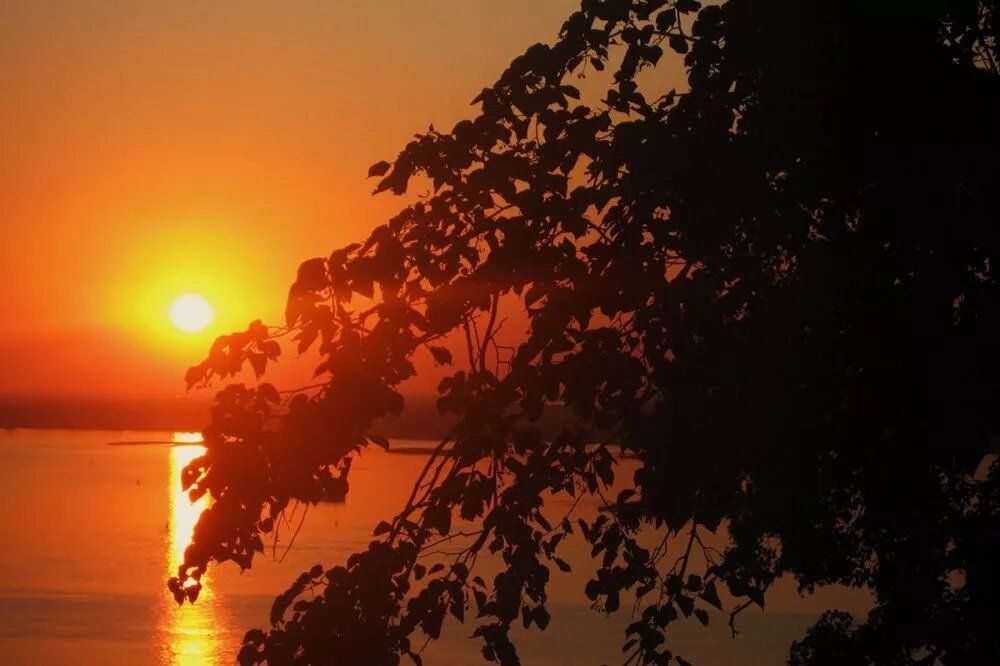 Жару до +29 °C обещают жителям Нижнего Новгорода синоптики на 17 августа