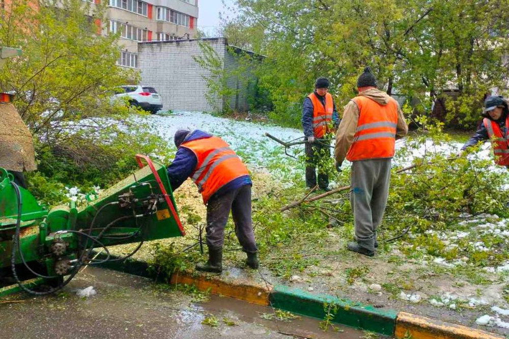 ДУКи пяти районов Нижнего Новгорода убрали более 200 деревьев после непогоды