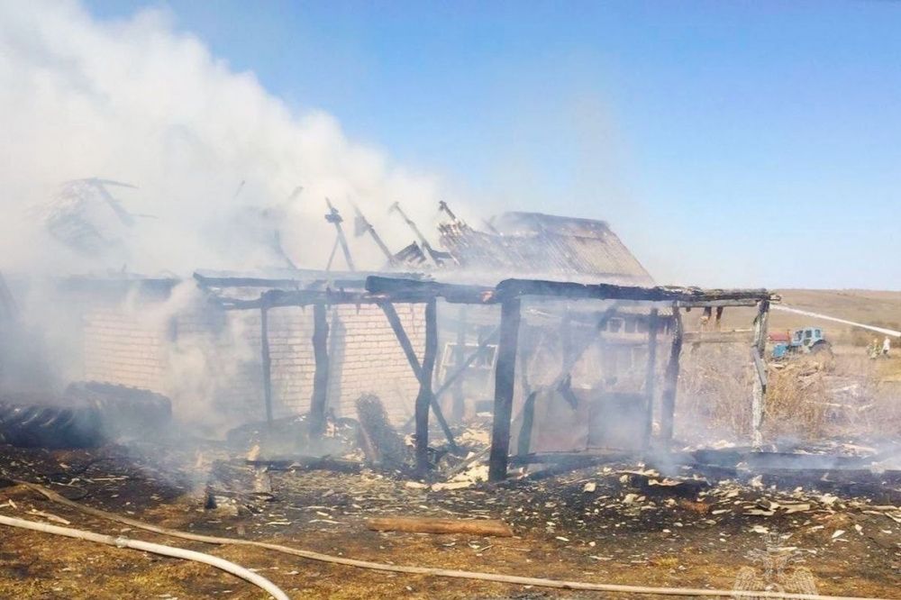 Житель Гагинского района решил сжечь траву на участке и спалил чужой сарай