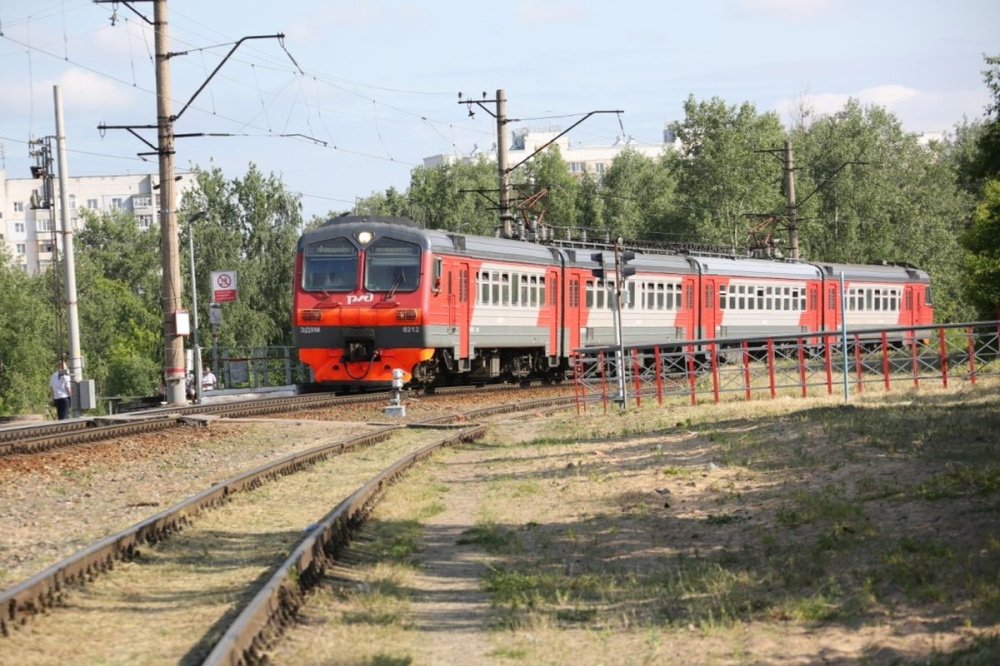 Потерявшуюся собаку из электрички Нижний Новгород – Пижма вернули хозяйке