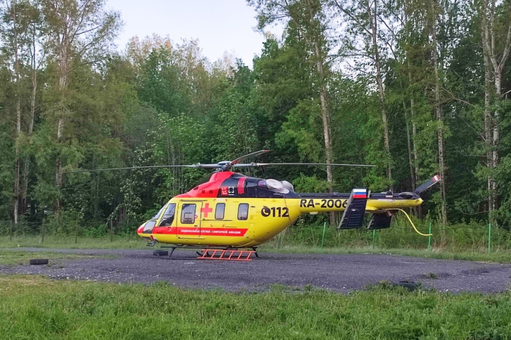 Покусанную ротвейлером девочку доставили в Нижний Новгород из Сарова на вертолете