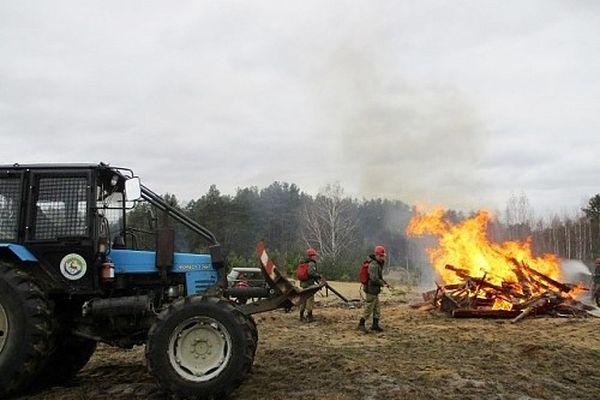 Противопожарные учения прошли в Керженском заповеднике в Нижегородской области