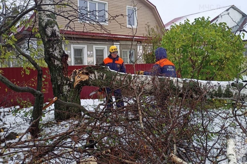 Фото Нижегородское ГУ МЧС перешло в режим повышенной готовности из-за непогоды - Новости Живем в Нижнем