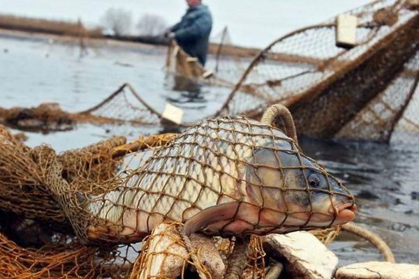 Рыбаки против артелей: к чему приведет утверждение границ рыбопромысловых участков в Нижегородской области