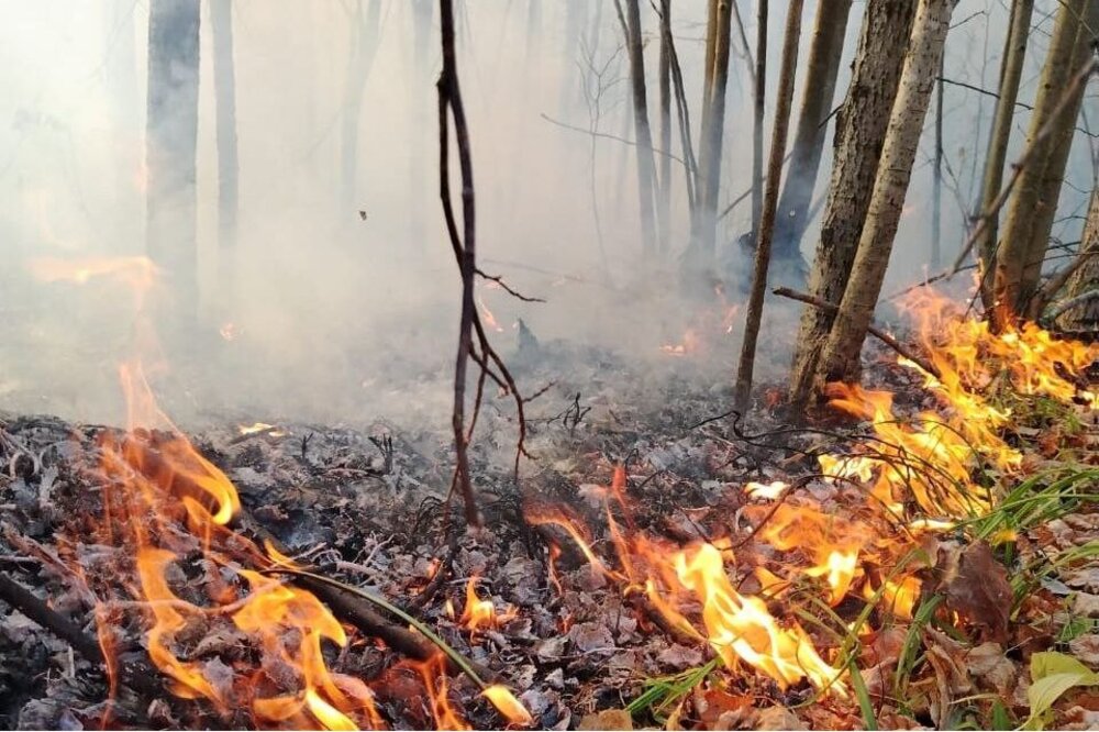 Пожары продолжают бушевать в Нижегородской области