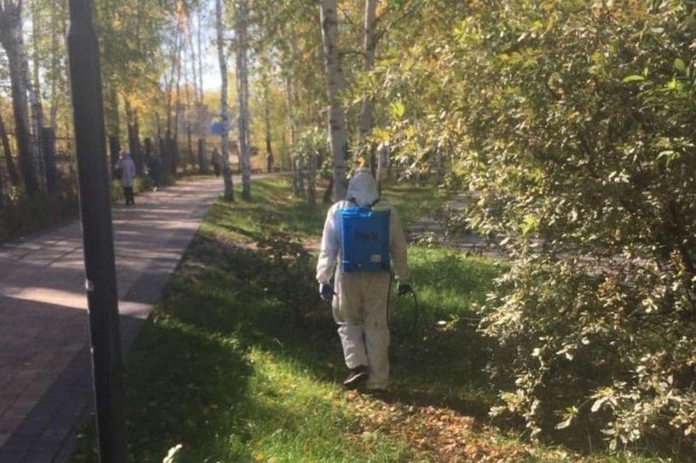 Пять парков в Нижнем Новгороде обработали от грызунов и клещей