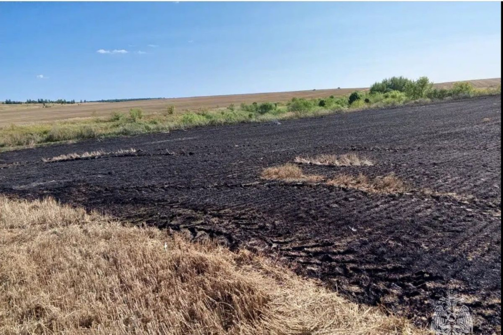 Пожар произошел на пшеничном поле в Нижегородской области