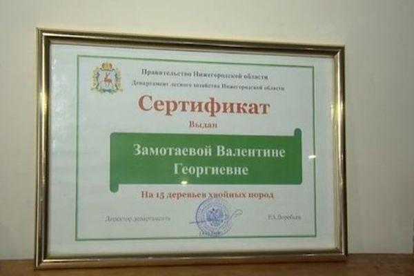 Пенсионерка получила в подарок хвойную рощу от администрации города Первомайск