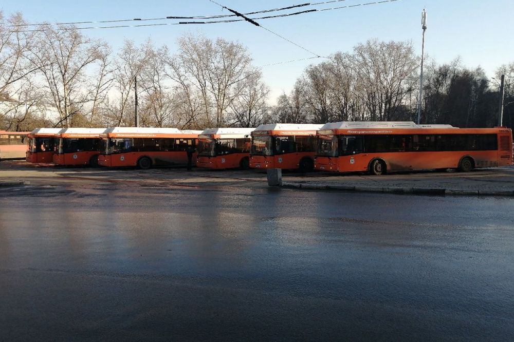 Фото Две новые остановки ввели на Комсомольском шоссе в Нижнем Новгороде - Новости Живем в Нижнем