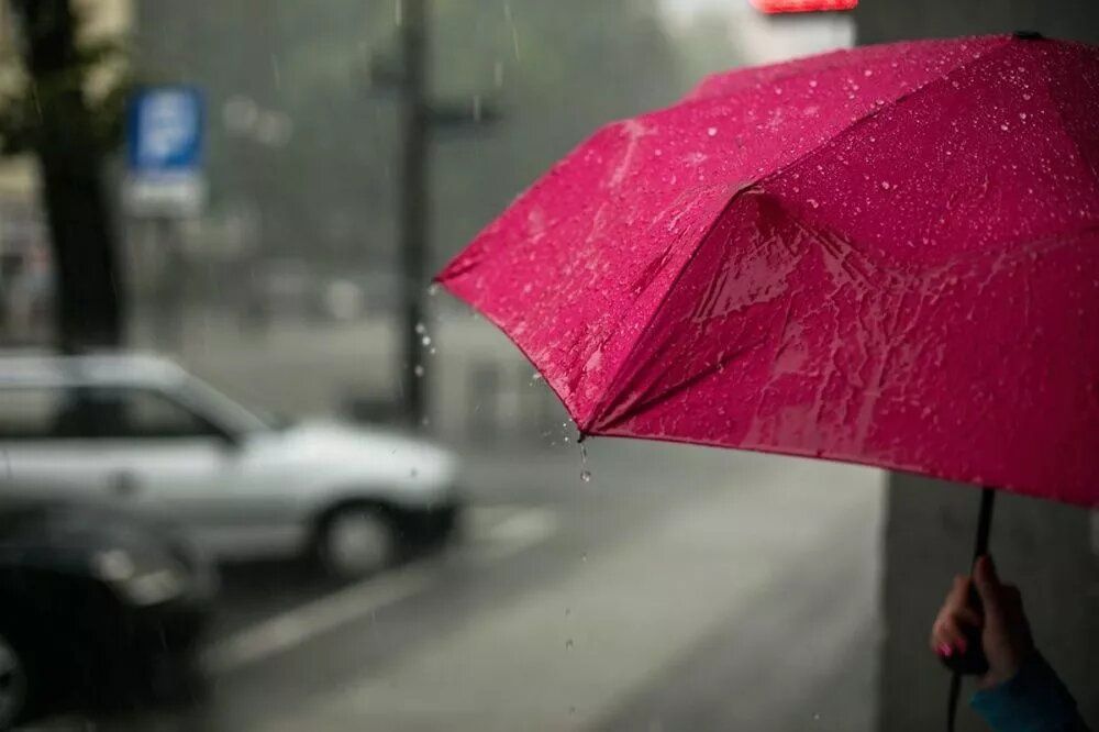 Фото Синоптики обещают нижегородцам похолодание до +14°С и дожди 3 и 4 июня - Новости Живем в Нижнем