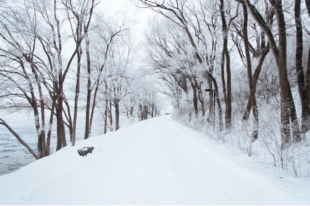 Небольшой снег и морозы до -17 градусов ожидают нижегородцев 23 февраля