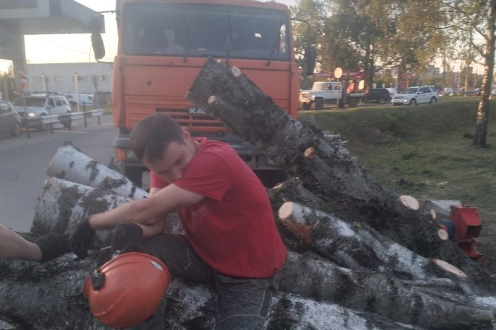 Фото Деревья начали вырубать в Приокском районе для строительства газопровода - Новости Живем в Нижнем