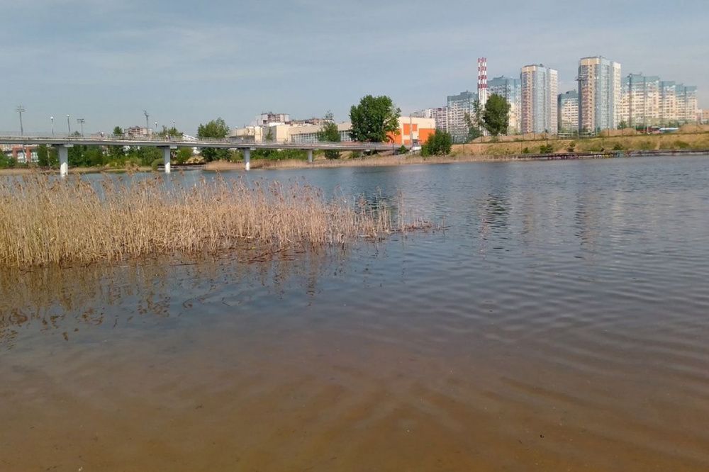 Водоемы на 12 нижегородских пляжах не подходят для купания