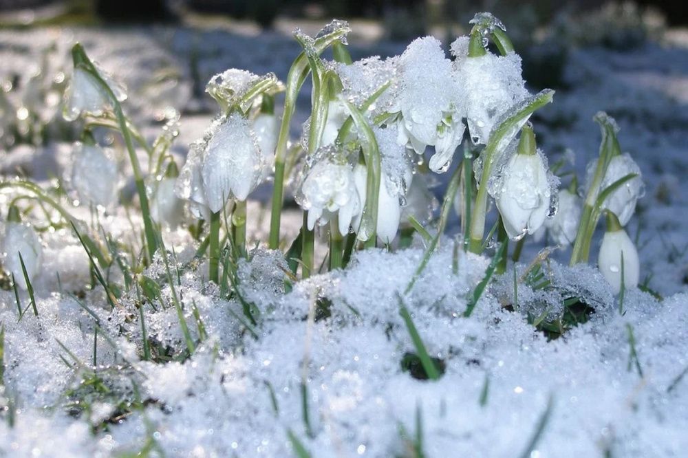 Фото Метеорологическая весна наступит в Нижегородской области не раньше 26 марта - Новости Живем в Нижнем