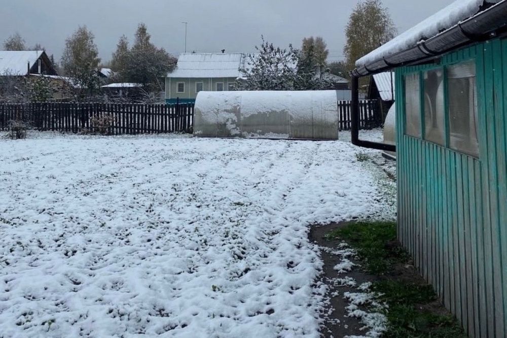 Фото Первый снег выпал в северных районах Нижегородской области - Новости Живем в Нижнем