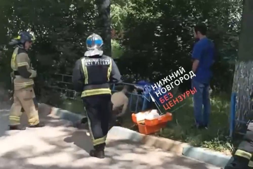Тело мужчины с застрявшей в заборе головой обнаружили нижегородцы на Даргомыжского