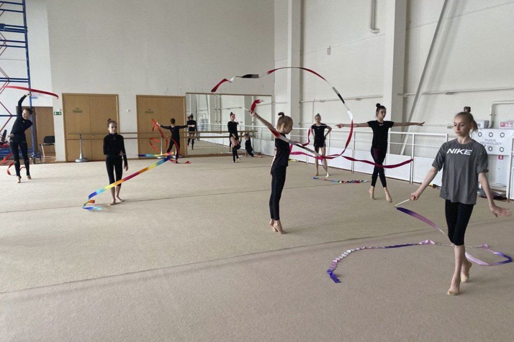Новый центр художественной гимнастики спроектируют в Нижнем Новгороде