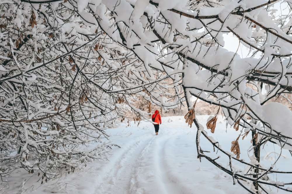 Потепление до -3°C ждет нижегородцев 25 января