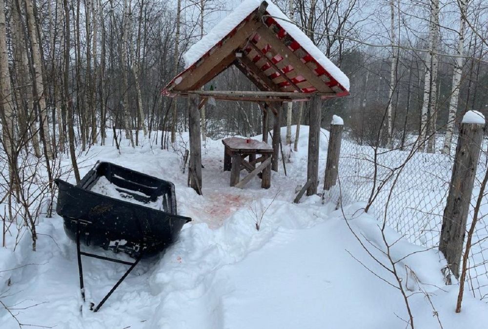 Нижегородцу грозит до 2 лет колонии за убийство лося