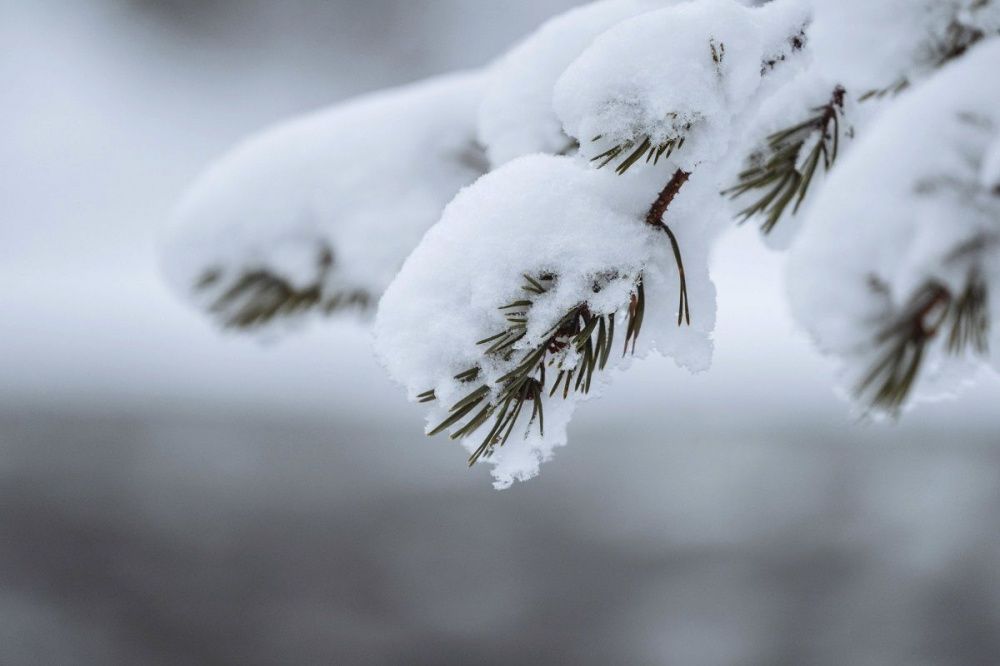 Снег и морозы до -16 градусов ожидают нижегородец на неделе с 20 по 26 февраля