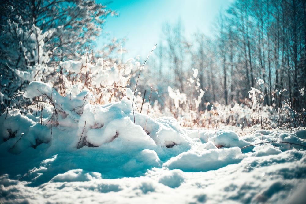 Фото Похолодание до -8°C обещают синоптики нижегородцам на 18 и 19 марта - Новости Живем в Нижнем