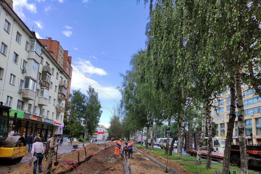 Более тысячи кустарников и деревьев посадят на улице Коминтерна в Сормове