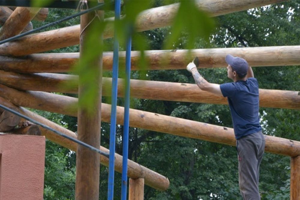 Фото Шахматный клуб восстановят при благоустройстве парка Кулибина в Нижнем Новгороде - Новости Живем в Нижнем