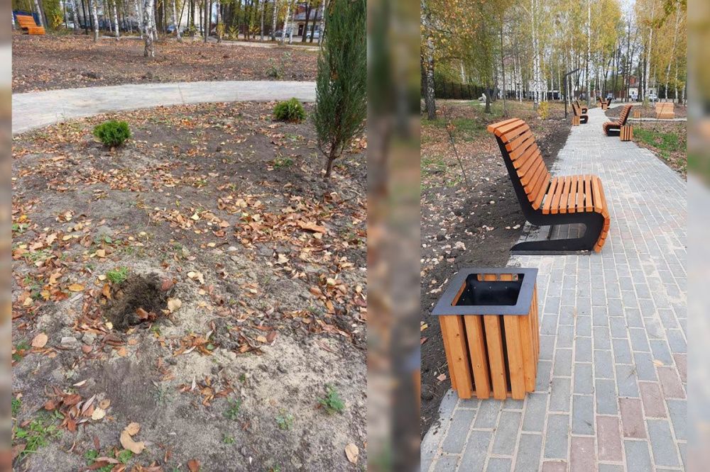 Вандалы выкопали туи и испортили лавки в благоустроенном парке в Лукоянове