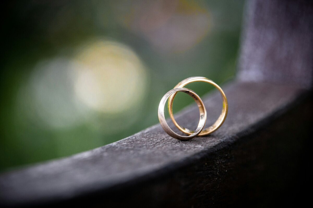Фото 14 пар зарегистрируют брак в нижегородском парке «Швейцария» 7 июля - Новости Живем в Нижнем