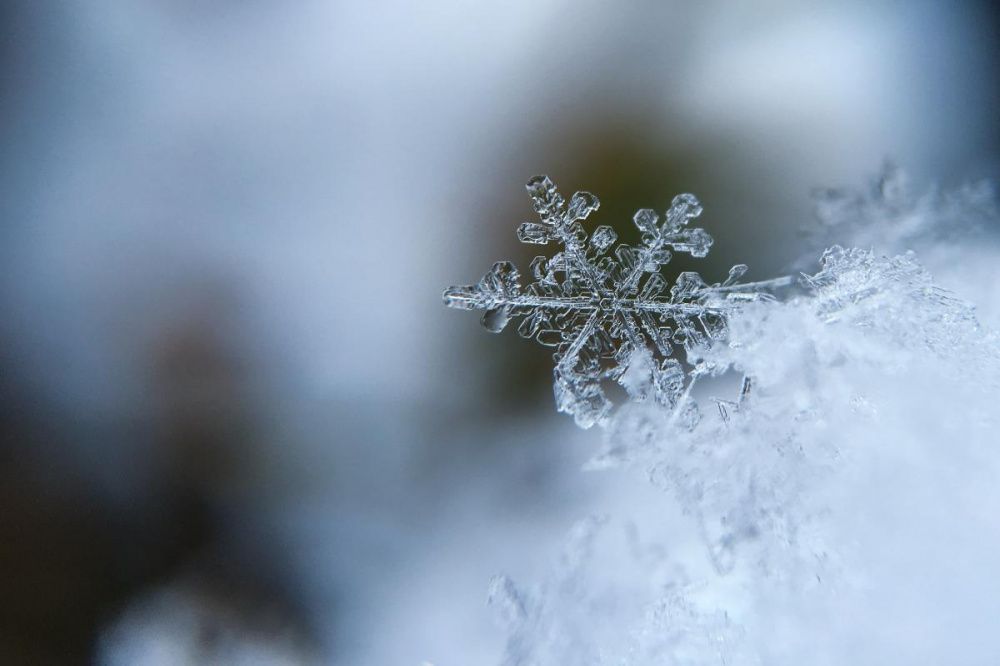 +1° C и снег обещают синоптики нижегородцам 28-29 октября