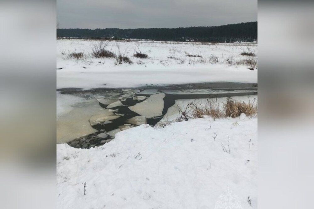 60-летний нижегородец едва не утонул при спасении своей собаки из воды