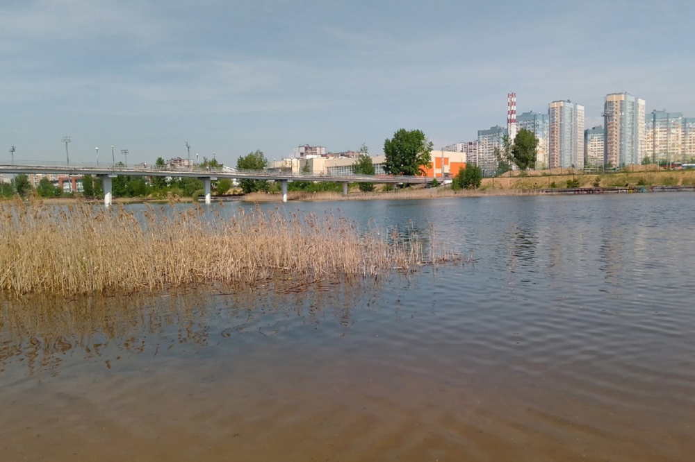 8 водоемов не рекомендованы для купания в Нижнем Новгороде