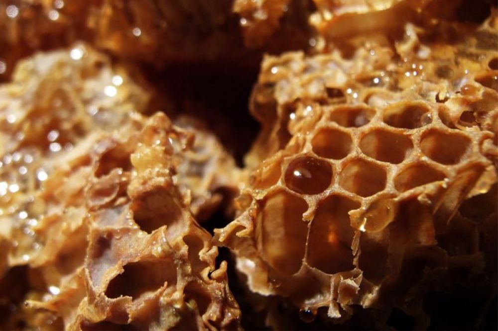 Опасный химикат обнаружили в мёде нижегородского производства