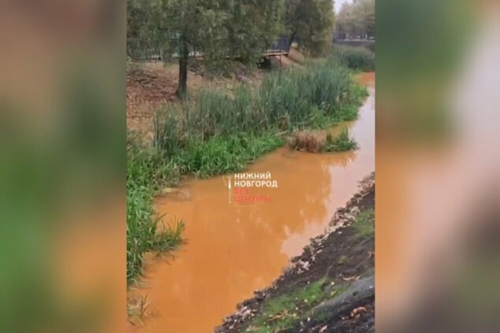 Готовимся к Хэллоуину? Река Параша в Сормове «превратилась» в тыквенный суп