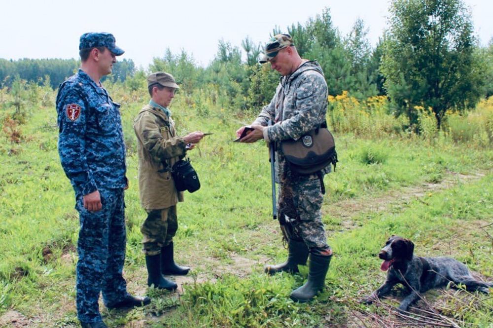 Фото Сезон охоты на дичь с собаками откроется в Нижегородской области 25 июля - Новости Живем в Нижнем