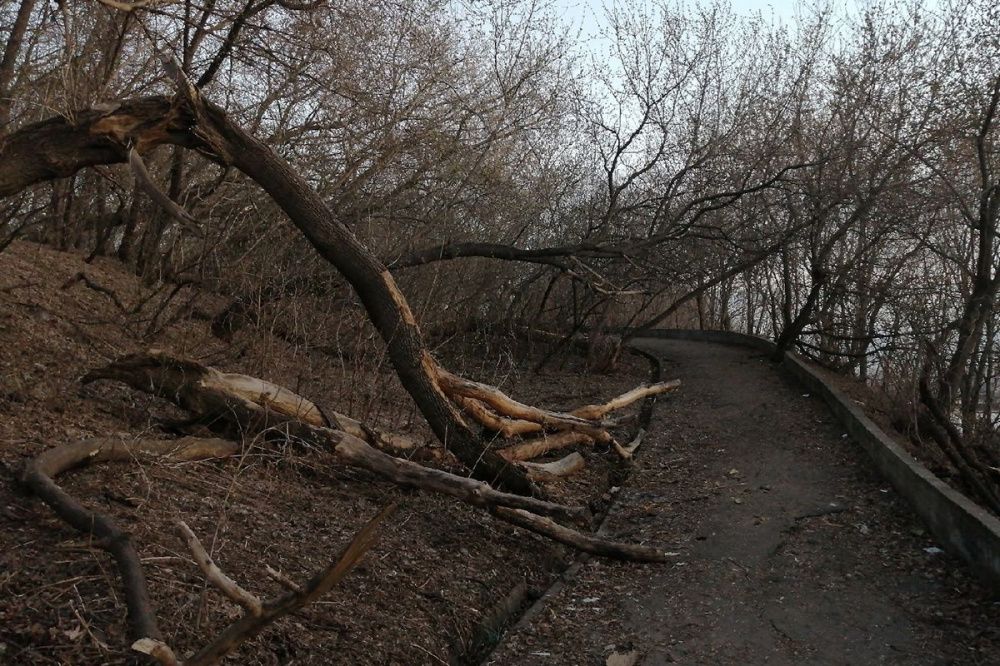 Благоустройство Гребешковского откоса в Нижнем Новгороде организуют по концессии