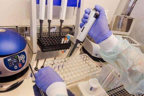 Новое оборудование для тестов на коронавирус закупят в лаборатории Нижнего Новгорода