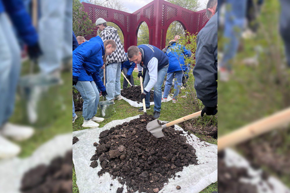 Фото Международная акция «Сад памяти» стартовала в Нижегородской области - Новости Живем в Нижнем