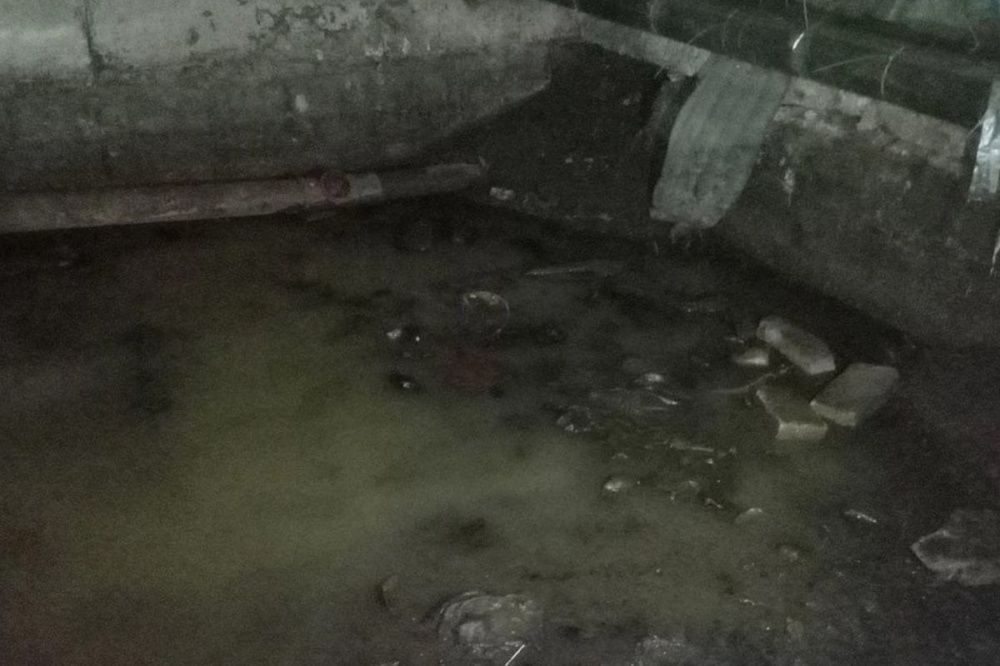 Подвал дома в Канавинском районе затопило канализационными отходами