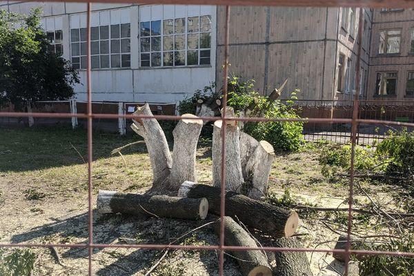Более 50 деревьев вырубили в Ленинском районе