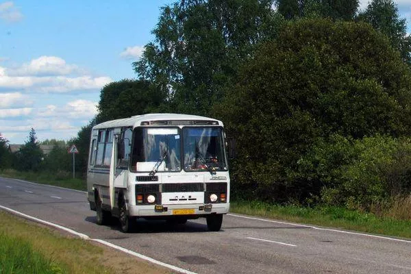 Чиновники планируют отменить ряд автобусов в Краснобаковском районе